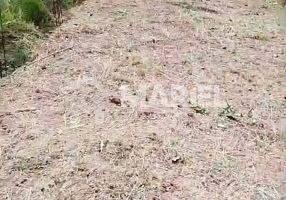 86a48cc0-be50-4b27-8581-8afa1bc76cd1