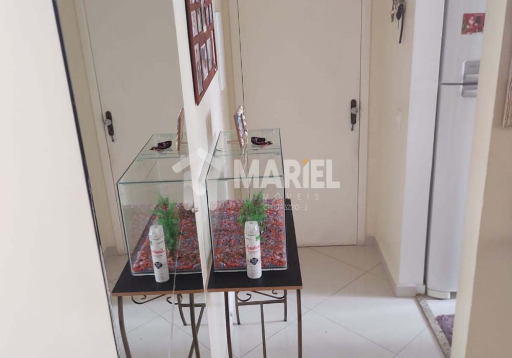 Imagem do WhatsApp de 2025-03-12 à(s) 16.17.32_be006647