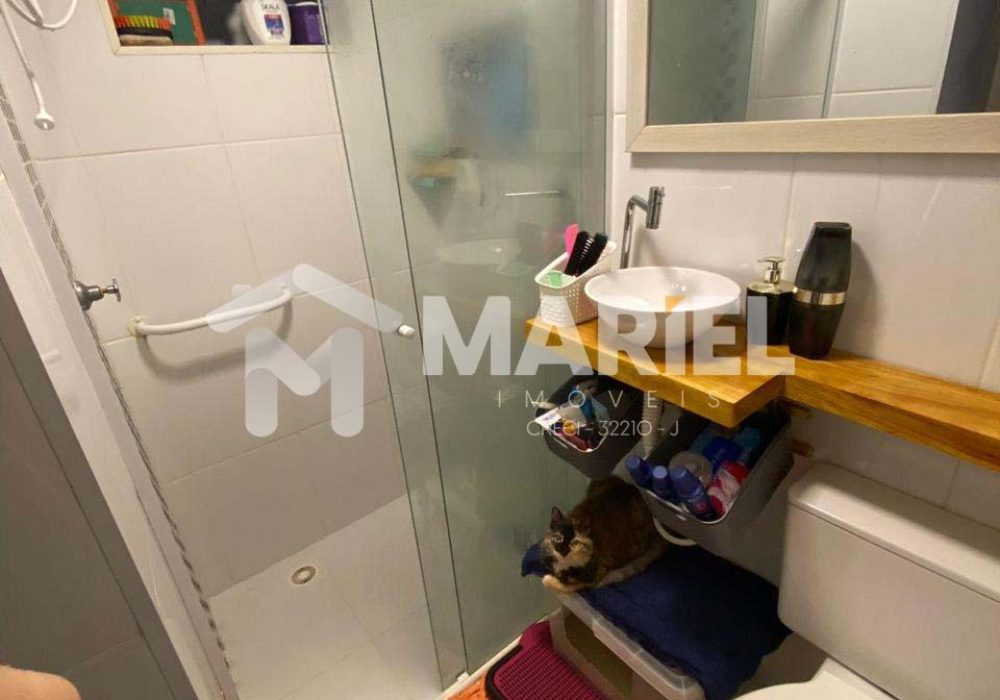 WhatsApp Image 2025-02-11 at 10.33.21 (1)