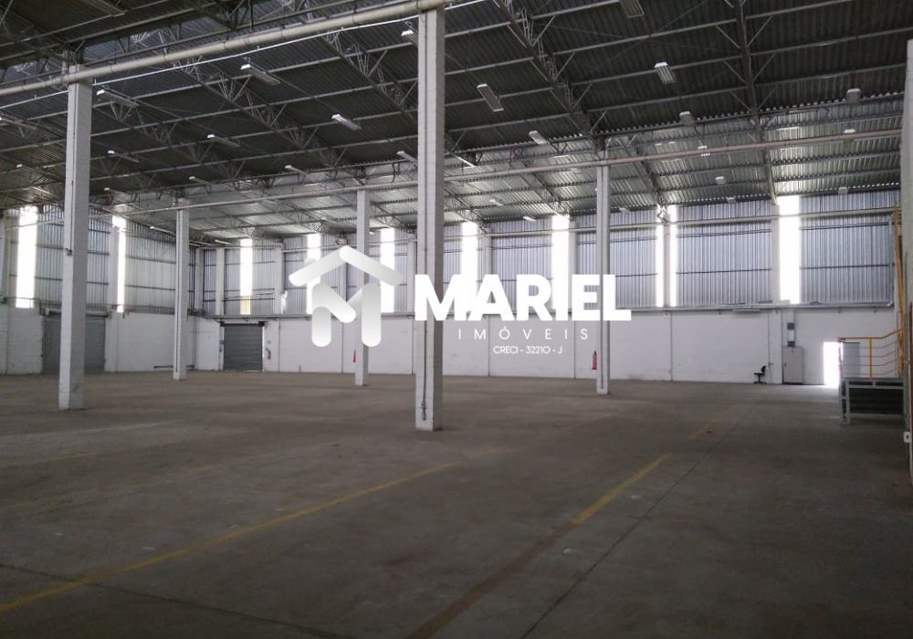 WhatsApp Image 2025-09-23 at 18.10.03