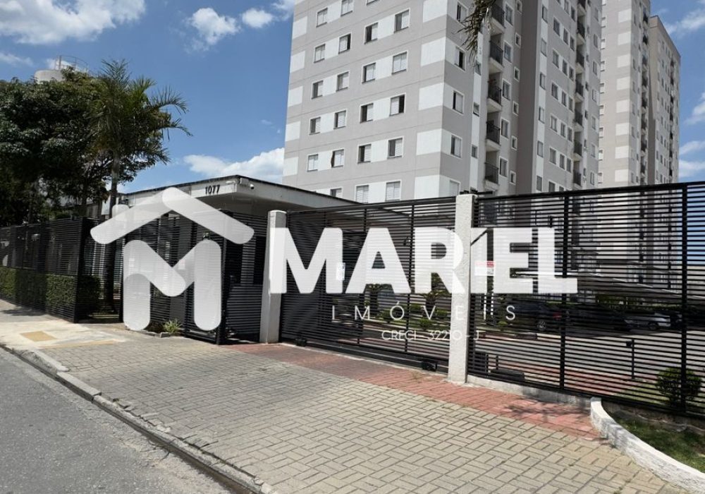 WhatsApp Image 2025-11-22 at 12.08.35 (3)