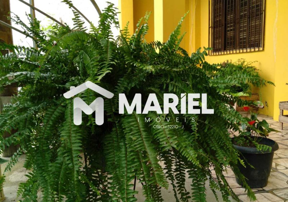 WhatsApp Image 2025-12-11 at 15.09.06 (1)