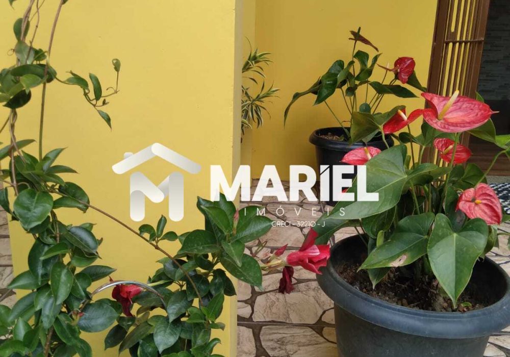 WhatsApp Image 2025-12-11 at 15.09.07