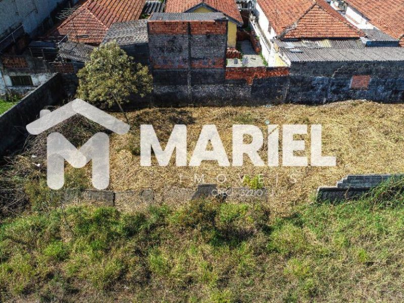 WhatsApp Image 2026-02-10 at 15.31.15 (1)