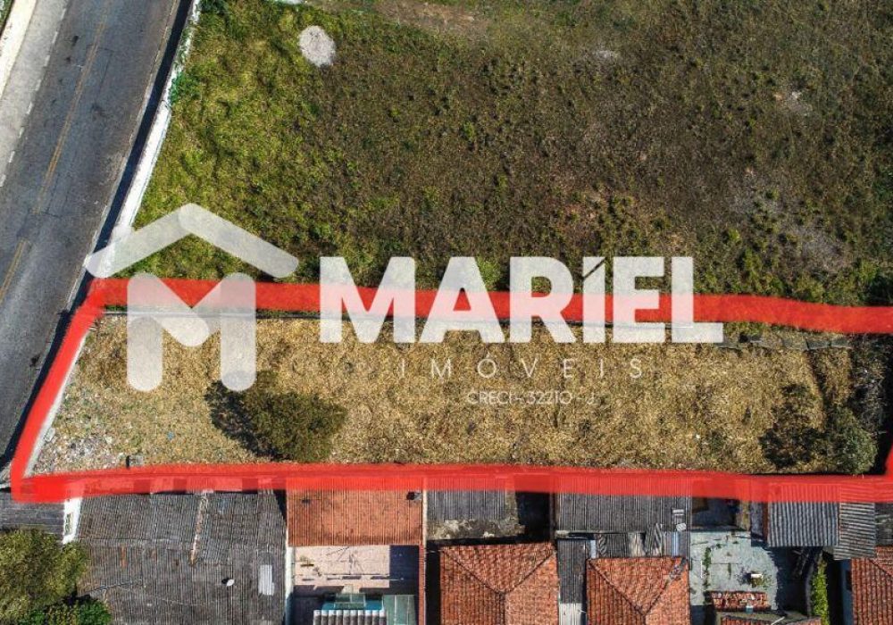 WhatsApp Image 2026-02-10 at 15.31.15