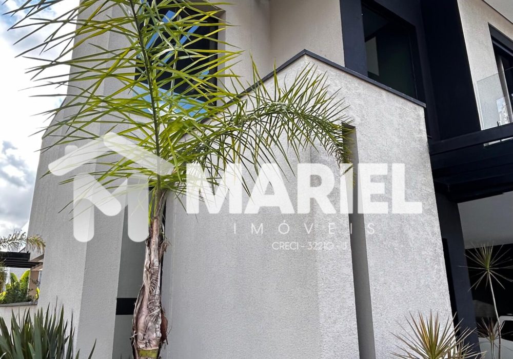 WhatsApp Image 2026-02-11 at 15.30.16