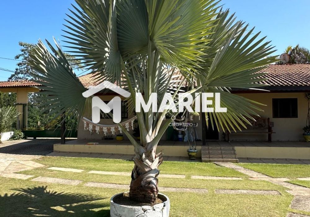 WhatsApp Image 2026-03-18 at 15.37.17 (3)