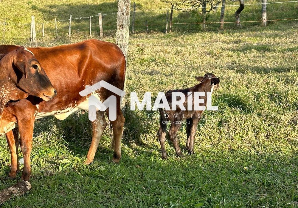 WhatsApp Image 2026-03-18 at 15.37.18 (1)