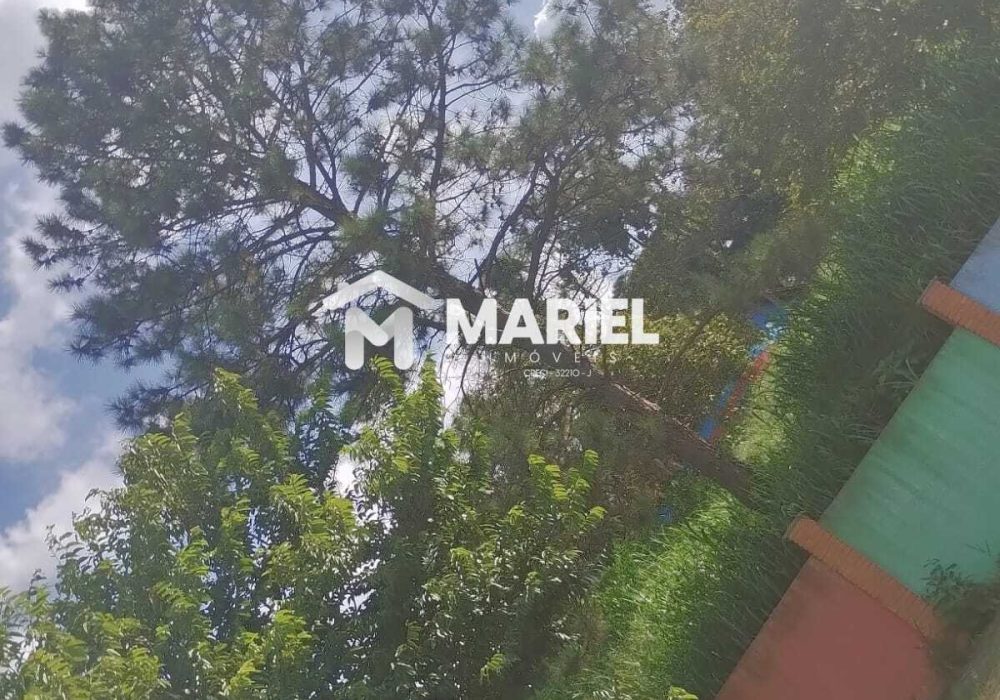 WhatsApp Image 2026-03-24 at 15.52.56