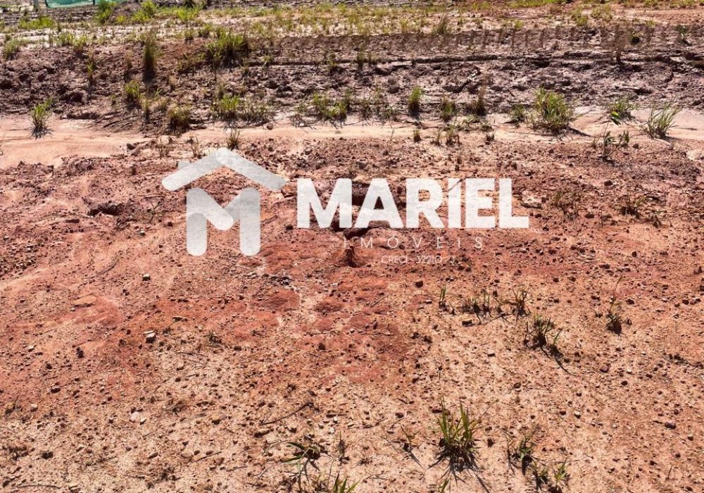 WhatsApp Image 2026-03-27 at 12.17.44