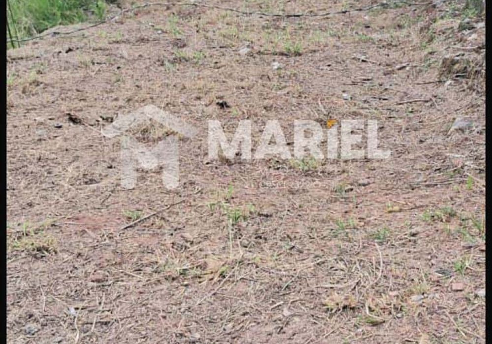 c7bc44fd-7990-49b3-92a4-4e3e88b78594